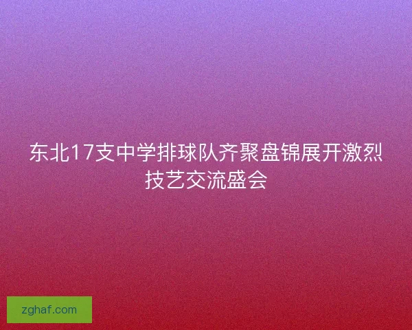 东北17支中学排球队齐聚盘锦展开激烈技艺交流盛会